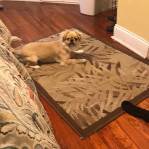 Meet your Posher, Rocio